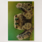 Jumping spider photo ジグソーパズル (縦)