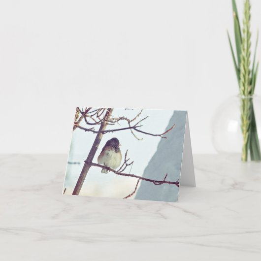 Junco in Montana Winter - 4" x 5.6" Notecard シーズンカード (正面)
