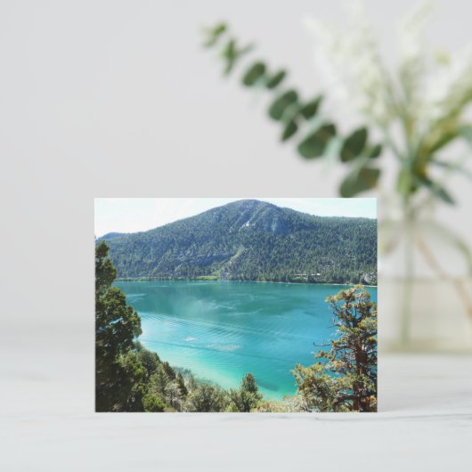 june湖 ポストカード (スタンド正面)