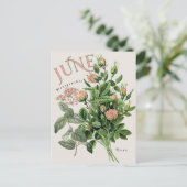 June Month Flowers Honeysuckle Rose Beige ポストカード (スタンド正面)