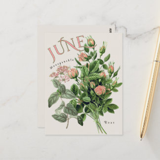 June Month Flowers Honeysuckle Rose Beige ポストカード