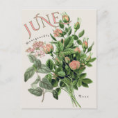 June Month Flowers Honeysuckle Rose Beige ポストカード (正面)
