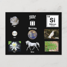 June Postcard ポストカード