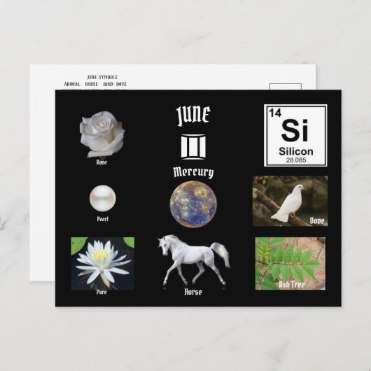 June Postcard ポストカード (正面/裏面)