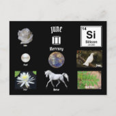 June Postcard ポストカード (正面)