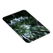 Jungle 3"x4"マグネット マグネット (右側)