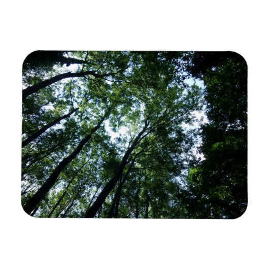 Jungle 3"x4"マグネット マグネット (横)