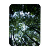 Jungle 3"x4"マグネット マグネット (縦)