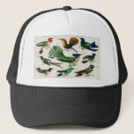 Jungle Birds for Kids Holiday Birthday Gifts キャップ<br><div class="desc">Collection of various birds from A history of the earth and animated nature (1820) by Oliver Goldsmith timothee chalamet, call me by your name, lady bird, cmbyn, little women, elio, armie hammer, beautiful boy, the king, chalamet, elio perlman, timothee, timmy, saoirse ronan, actor, peach, oscars, greta gerwig, cute, oliver, timothée...</div>