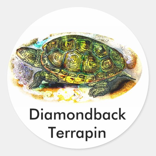 JungleWalkからのdiamondback Terrapinカメ ラウンドシール (正面)