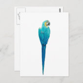 Junglewalk.comから青と黄色のマカオ ポストカード (正面/裏面)