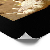 JungleWalk.comからcrocodile jaws ポスター (角)