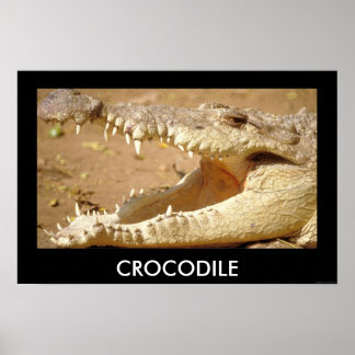 JungleWalk.comからcrocodile jaws ポスター