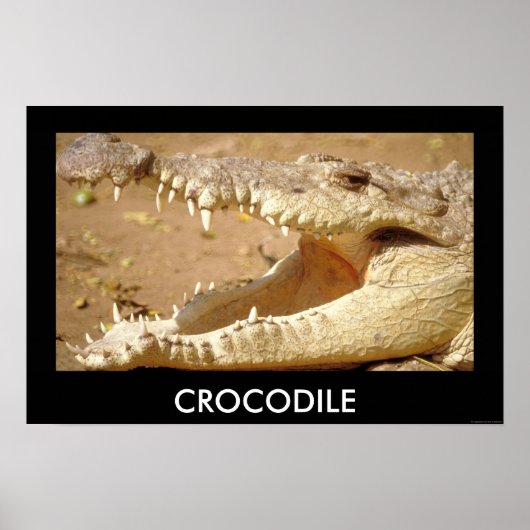 JungleWalk.comからcrocodile jaws ポスター (正面)
