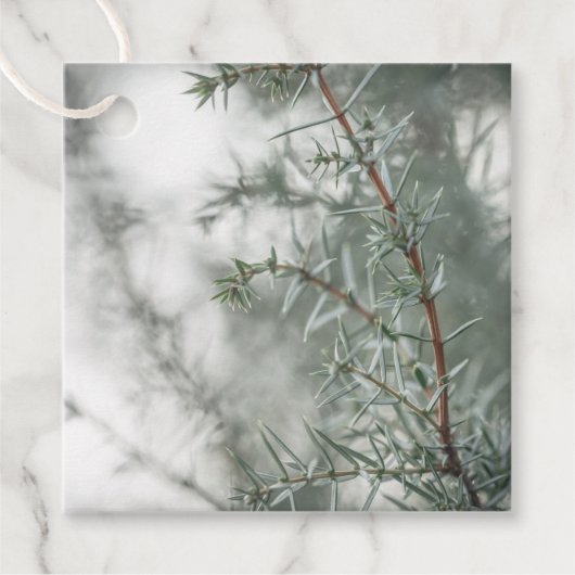 Juniper自然写真 フェイバータグ (正面)