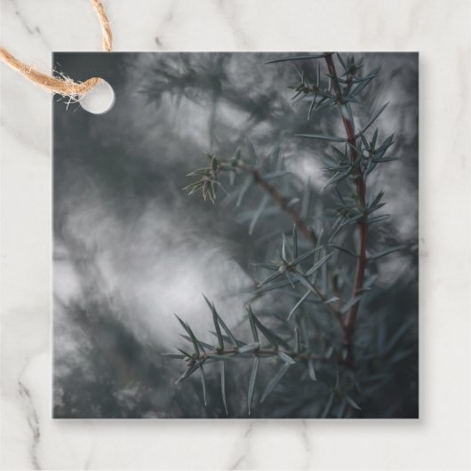 Juniper自然写真 フェイバータグ (正面)