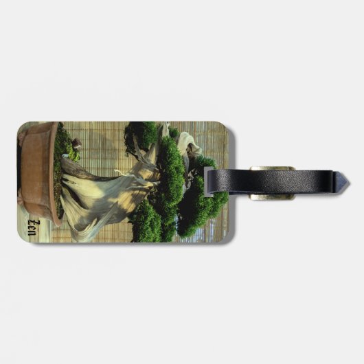 Juniper 中国の Bonsai Tree写真名 ラゲッジタグ (裏面横)