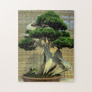 Juniper 中国の Bonsai Tree写真 ジグソーパズル