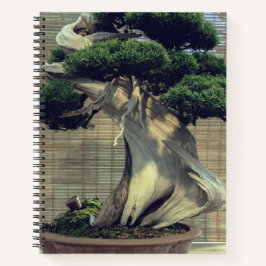 Juniper 中国の Bonsai Tree写真 ノートブック