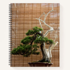 Juniper 中国の Bonsai Tree写真 ノートブック