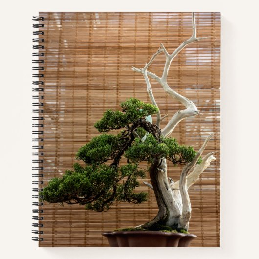 Juniper 中国の Bonsai Tree写真 ノートブック (正面)