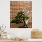 Juniper 中国の Bonsai Tree写真 ポスター (キッチン)