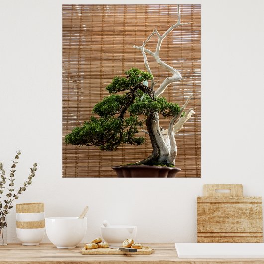 Juniper 中国の Bonsai Tree写真 ポスター (キッチン)