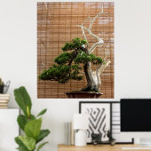 Juniper 中国の Bonsai Tree写真 ポスター (ホームオフィス)