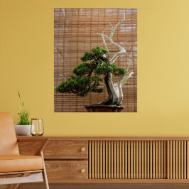 Juniper 中国の Bonsai Tree写真 ポスター