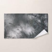 Juniper Dark Moodyフローラ自然写真