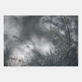 Juniper Dark Moodyフローラ自然写真 ラッピングペーパーシート