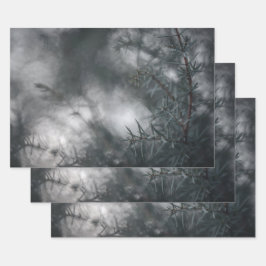 Juniper Dark Moodyフローラ自然写真 ラッピングペーパーシート