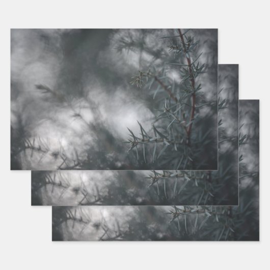 Juniper Dark Moodyフローラ自然写真 ラッピングペーパーシート (セット)