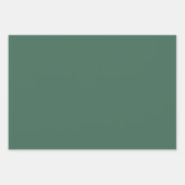 Juniper & Mint Wrapping Paper Flat Sheet Set of 3 ラッピングペーパーシート (正面2)