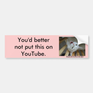 jupey1のYouTubeに。、…これを置くべきではないです バンパーステッカー