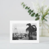 Jupiter, Florida Black & White Photoはがき ポストカード (スタンド正面)