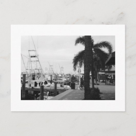 Jupiter, Florida Black & White Photoはがき ポストカード (正面)