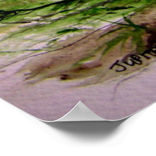 jupiter_lightハウス ポスター (角)