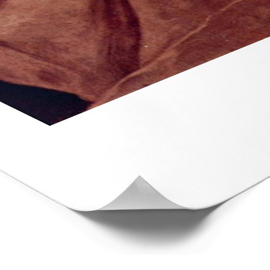 Jusepe De Riberaによる聖シメオンとキリストの子 ポスター (角)