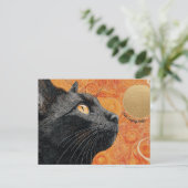 Justことわざハローキャットポストカード ポストカード (スタンド正面)