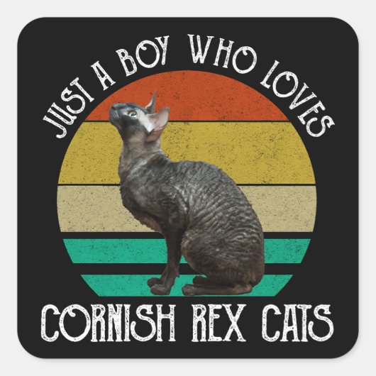 Just A Boy Who Loves Cornish Rex Cats スクエアシール (正面)