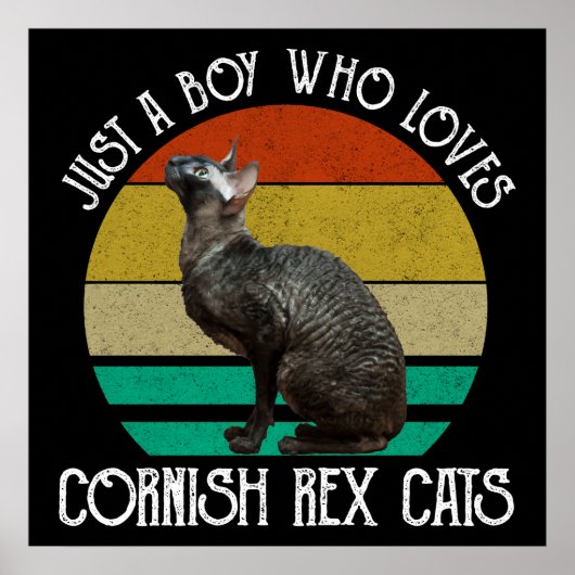 Just A Boy Who Loves Cornish Rex Cats ポスター (正面)
