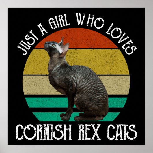 Just A Girl Who Loves Cornish Rex Cats ポスター (正面)