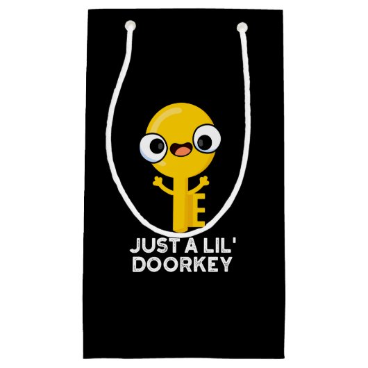 Just A Lil Door-鍵おもしろい鍵プンダークBG スモールペーパーバッグ (正面)