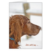Just a note Irish Setter (正面)