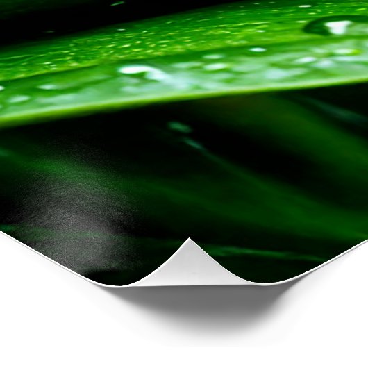 Just Chillin ポスター (コーナー)