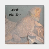 Just Chillin' - Bearded Dragon マグネット (正面)