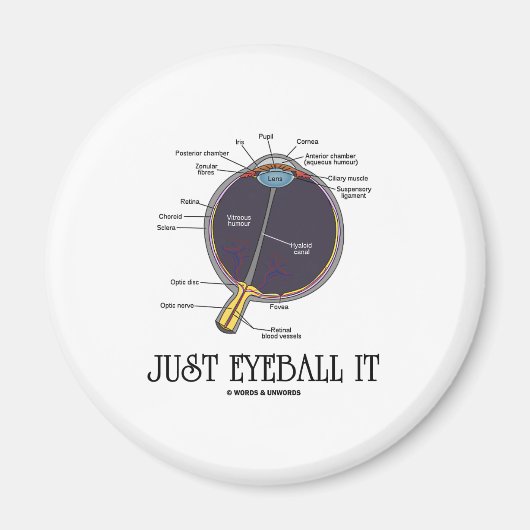 Just Eyeball It (Eye Anatomy Approximationことわざ) マグネット (正面)