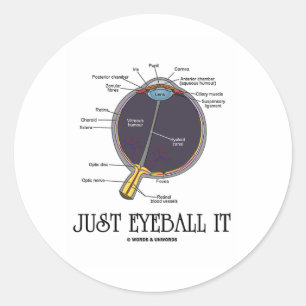 Just Eyeball It (Eye Anatomy Approximationことわざ) ラウンドシール