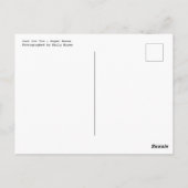 Just for You -紙バラ ポストカード (裏面)